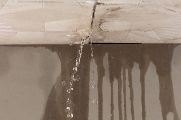 Professional Flood Damage Cleanup technician working in Rockwood, MI